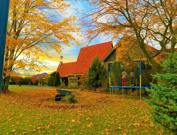 Hotel Motel Bonsoir hotel detail image 3