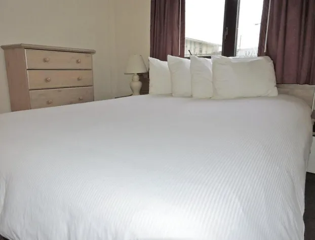 The Driftwood Lodge hotel detail image 3