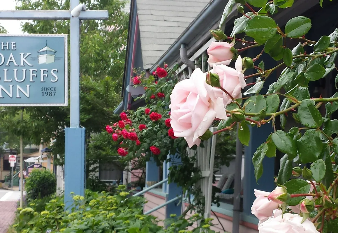 The Oak Bluffs Inn hotel hero