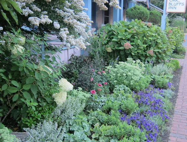 The Oak Bluffs Inn hotel detail image 1