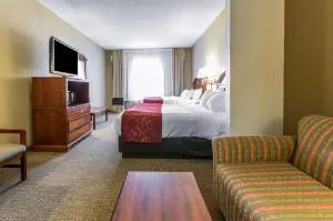 Comfort Suites Owensboro South hotel detail image 3