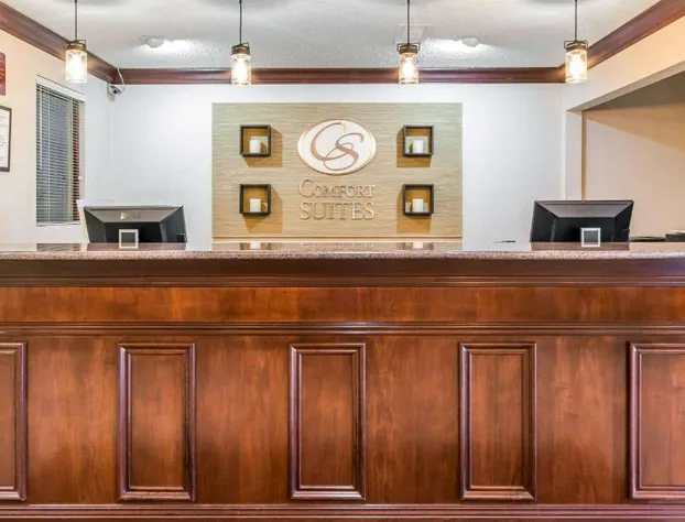 Comfort Suites hotel detail image 4