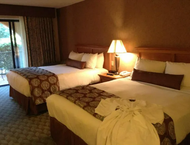 Borrego Springs Resort & Spa hotel detail image 1