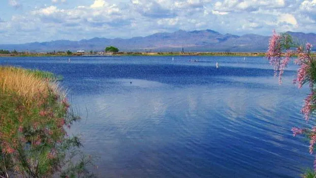 Baymont by Wyndham Safford hotel detail image 2