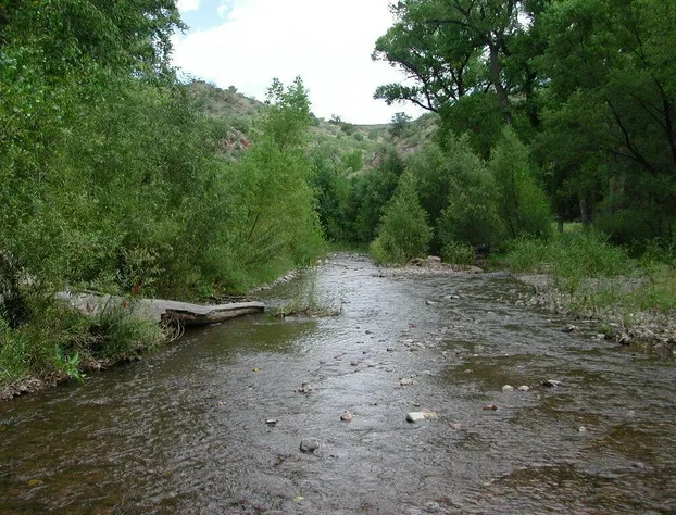 Baymont by Wyndham Safford hotel detail image 3