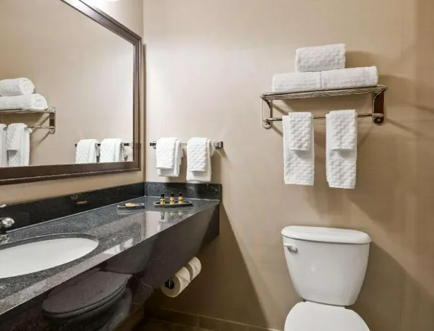Green Mill Village Hotel & Suites, BW Signature Collection hotel detail image 1