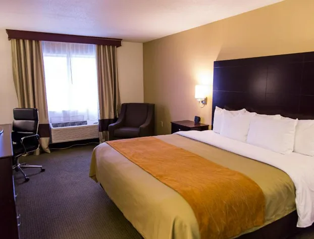 Comfort Inn And Suites Paw Paw hotel detail image 4