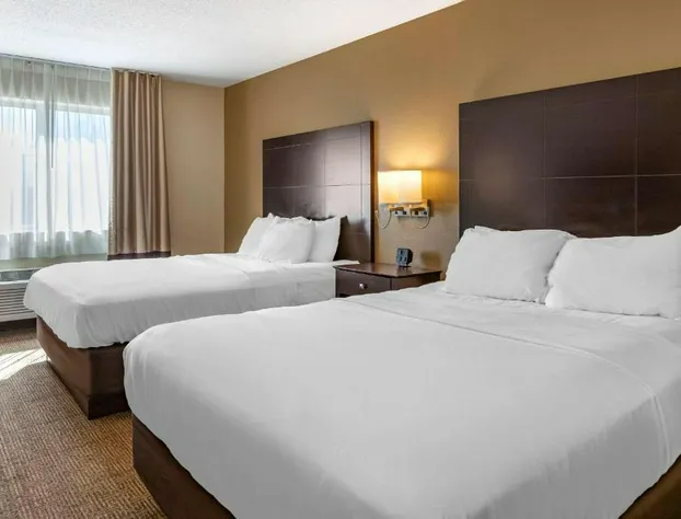 Comfort Inn & Suites Paw Paw hotel detail image 4