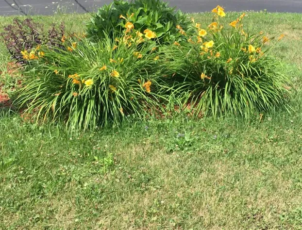 Red Carpet Inn and Suites Cooperstown hotel detail image 4