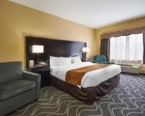 Comfort Suites Lake Ray Hubbard hotel detail image 1