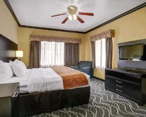 Comfort Suites Lake Ray Hubbard hotel detail image 3