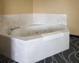 Comfort Suites Lake Ray Hubbard hotel detail image 4