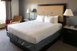 Comfort Inn & Suites Gatesville hotel detail image 1