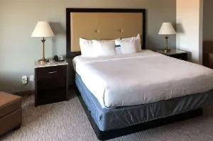 Comfort Inn & Suites Gatesville hotel detail image 2