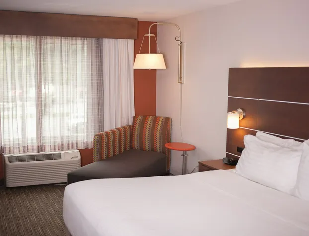 Holiday Inn Express Hotel & Suites by IHG hotel detail image 4