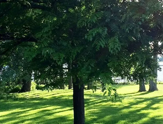 Muskey's Landing Resort hotel detail image 4