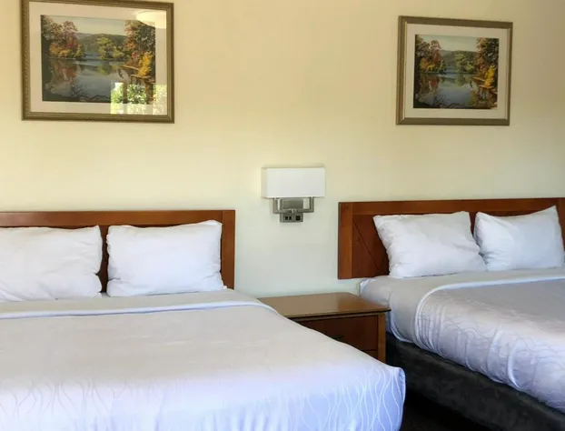 Monticello Motel hotel detail image 3