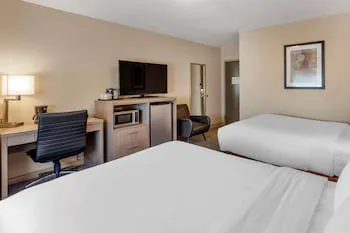 Comfort Inn & Suites Thousand Islands Harbour District hotel detail image 2