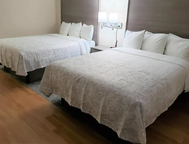 Red Roof Inn Moss Point hotel detail image 4