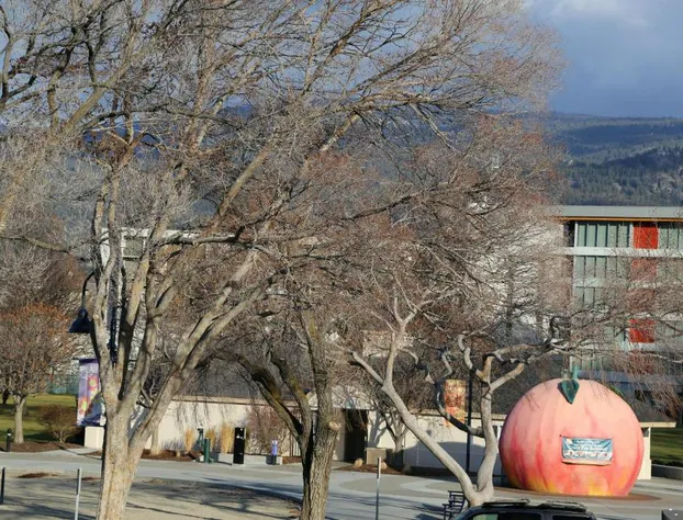 SlumberLodge Hotel hotel detail image 3