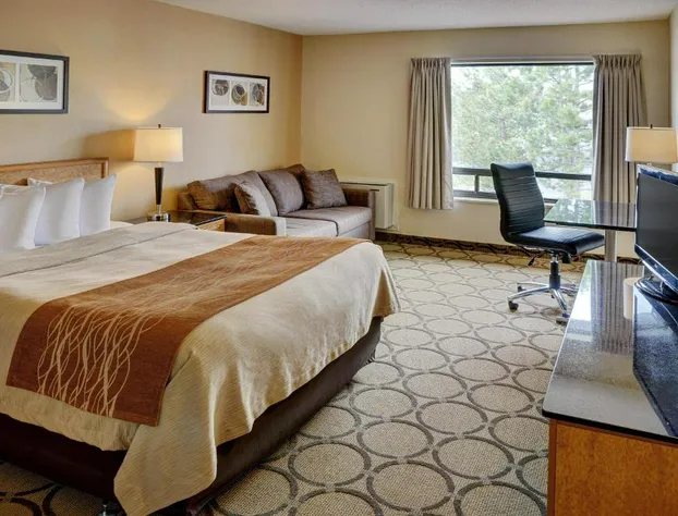 Comfort Inn Pickering hotel detail image 3