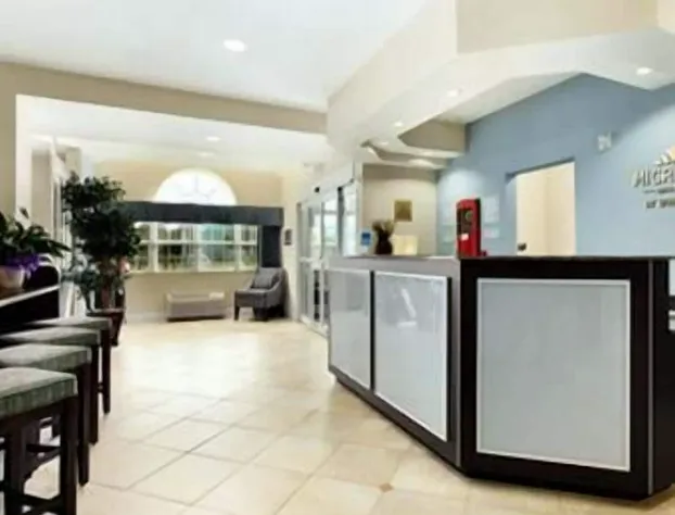 Microtel Inn & Suites by Wyndham Spring Hill/Weeki Wachee hotel detail image 3