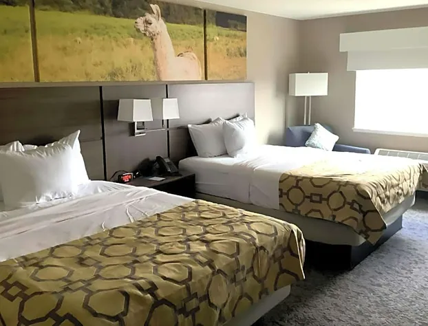 Clarion Pointe Mattoon Near University hotel detail image 2