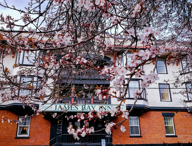 James Bay Inn Hotel & Suites hotel detail image 2