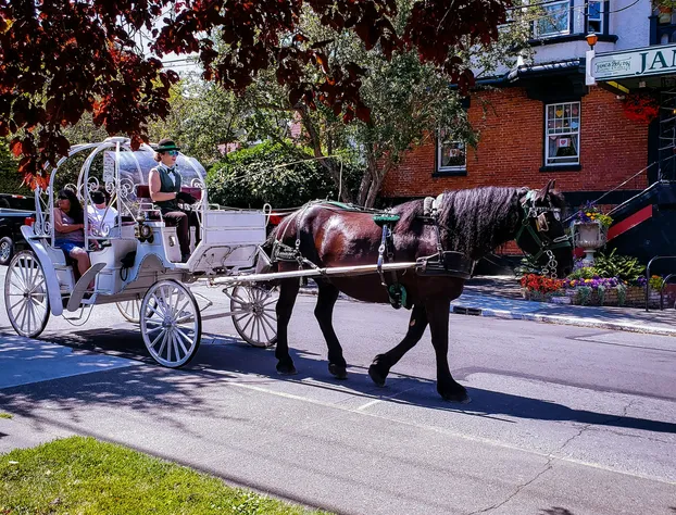 James Bay Inn Hotel & Suites hotel detail image 3