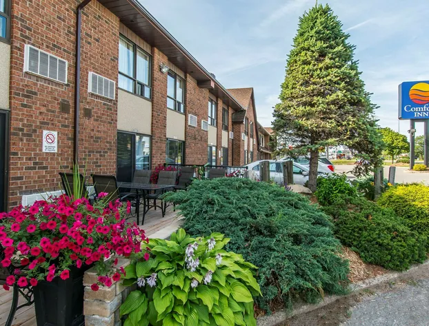 Comfort Inn Sault Ste. Marie - Canada hotel detail image 2