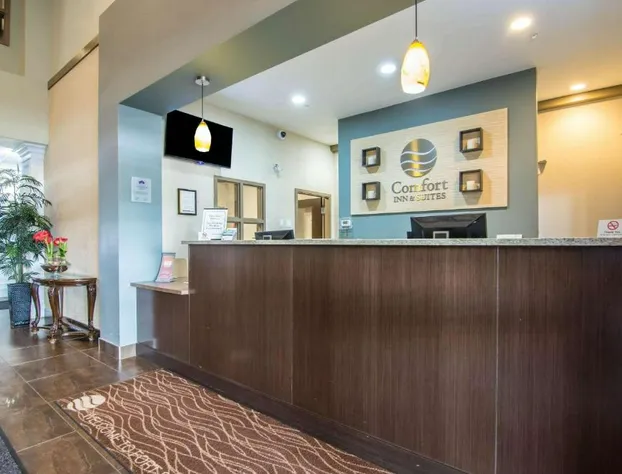 Comfort Inn & Suites hotel detail image 3
