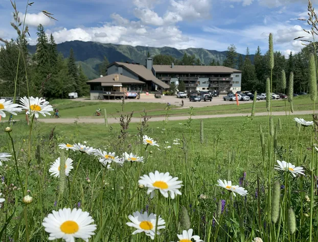 The Griz Inn hotel detail image 3