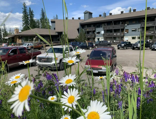 The Griz Inn hotel detail image 4