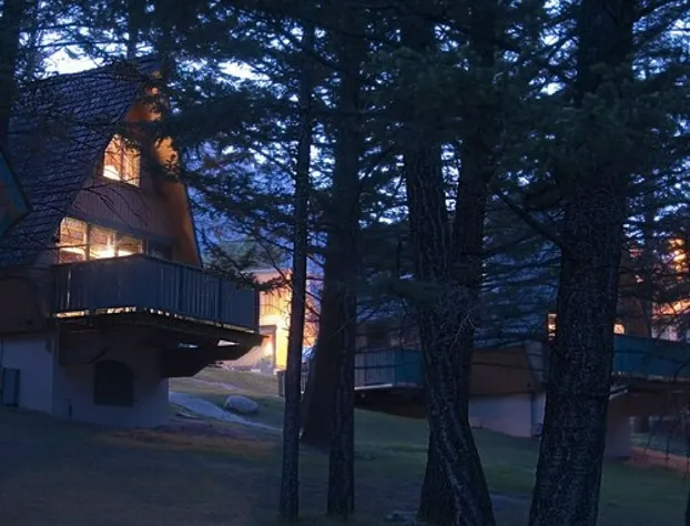 Douglas Fir Resort and Chalets hotel detail image 2