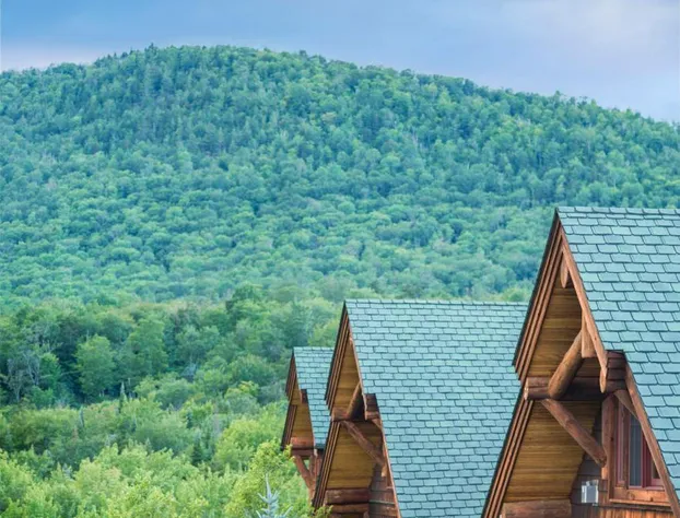 The Whiteface Lodge hotel detail image 4