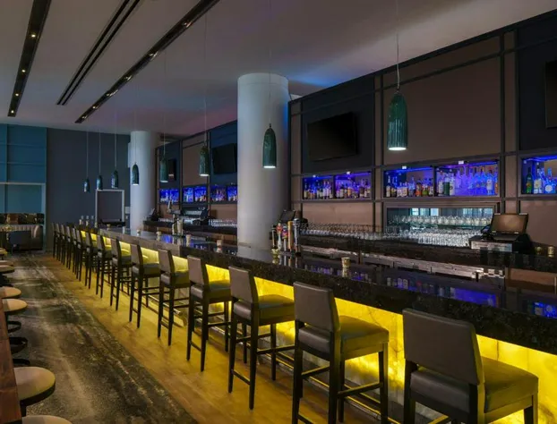 Renaissance Schaumburg Convention Center Hotel hotel detail image 4