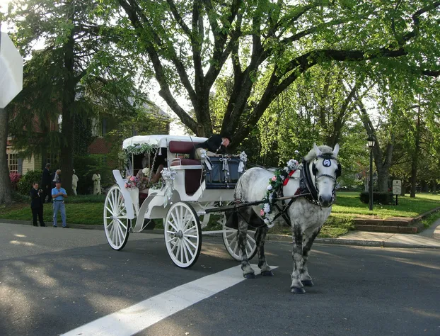 Williamsburg Manor B&B hotel detail image 3