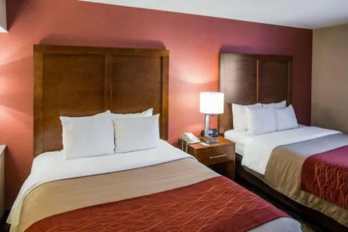 Comfort Inn & Suites Jackson North hotel detail image 1