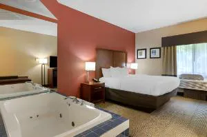 Comfort Inn & Suites Jackson North hotel detail image 2