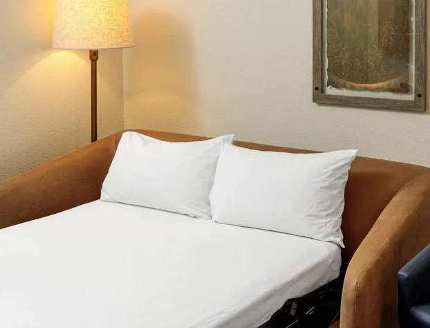 Fairfield Inn & Suites by Marriott San Angelo hotel detail image 2