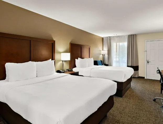 Comfort Inn & Suites Sequoia/Kings Canyon hotel detail image 4