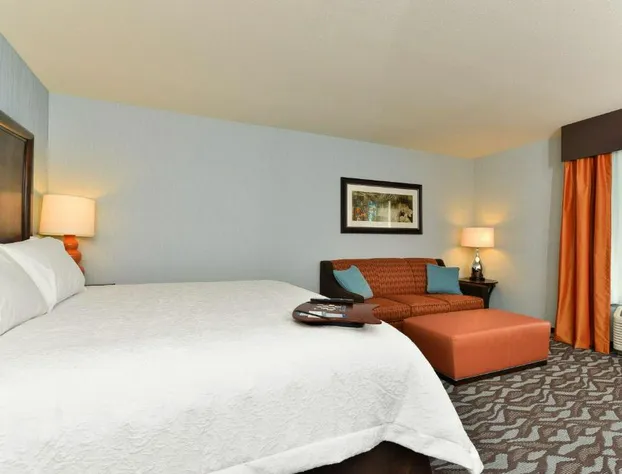 Hampton Inn Corning/Painted Post hotel detail image 3