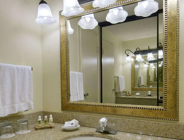 Red Lion Hotel Seattle Airport Sea-Tac hotel detail image 3