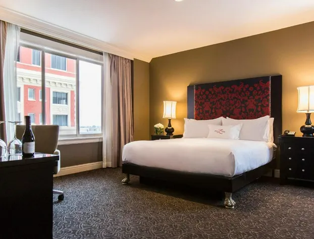 Hotel Zaza Houston Museum District hotel detail image 2