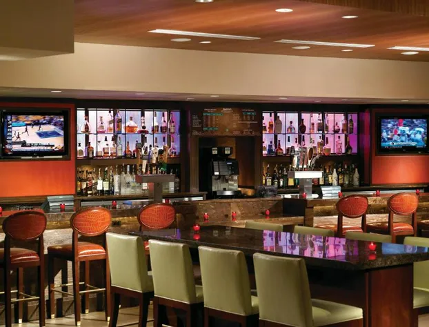 Marriott Chicago O'Hare hotel detail image 3