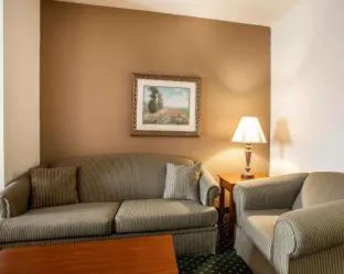 Comfort Inn & Suites Davenport - Quad Cities hotel detail image 4