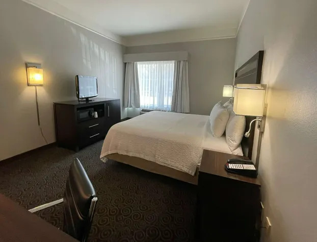 Spark by Hilton Houston West Clay Road hotel detail image 3