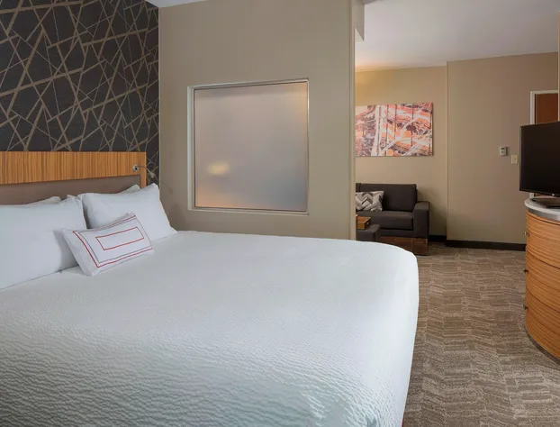 SpringHill Suites by Marriott St. Louis Airport/Earth City hotel detail image 4