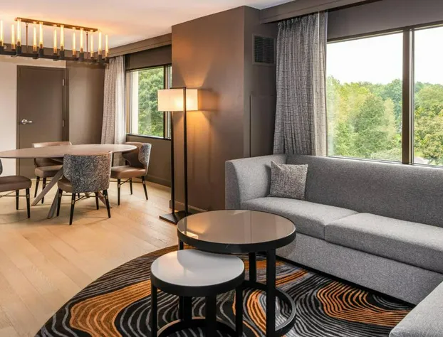 Pittsburgh Airport Marriott hotel detail image 3