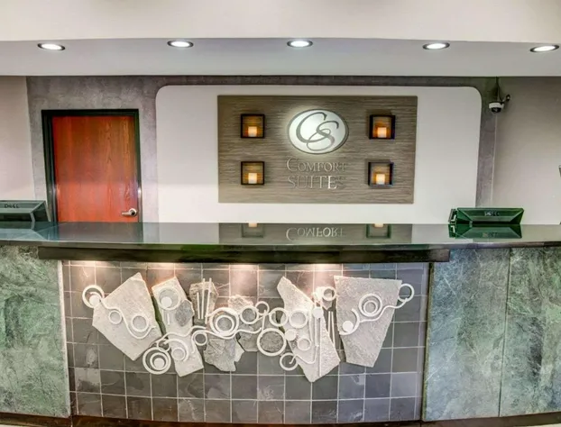 Comfort Suites Pittsburgh Airport hotel detail image 3